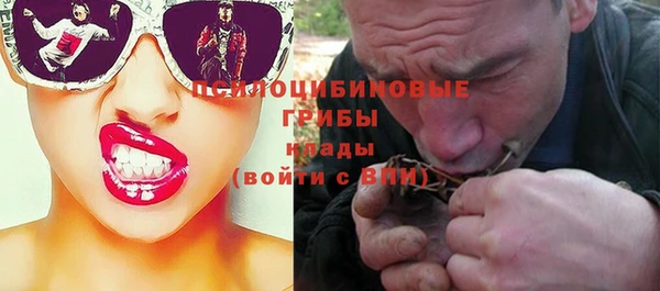 а пвп мука Белокуриха