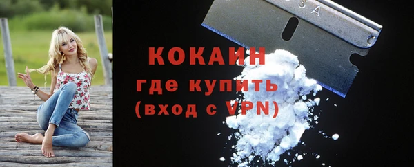 МДПВ Богородицк