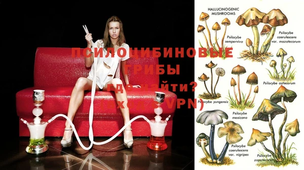 ПСИЛОЦИБИНОВЫЕ ГРИБЫ Беломорск