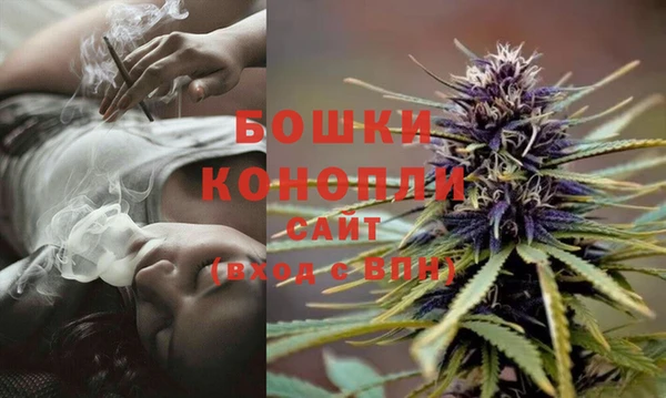 ПСИЛОЦИБИНОВЫЕ ГРИБЫ Беломорск