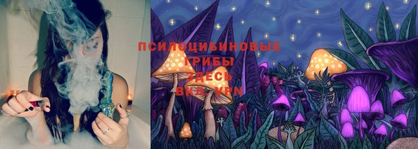 а пвп мука Белокуриха